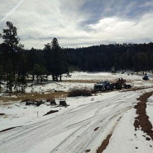 Meet your Posher, Danella